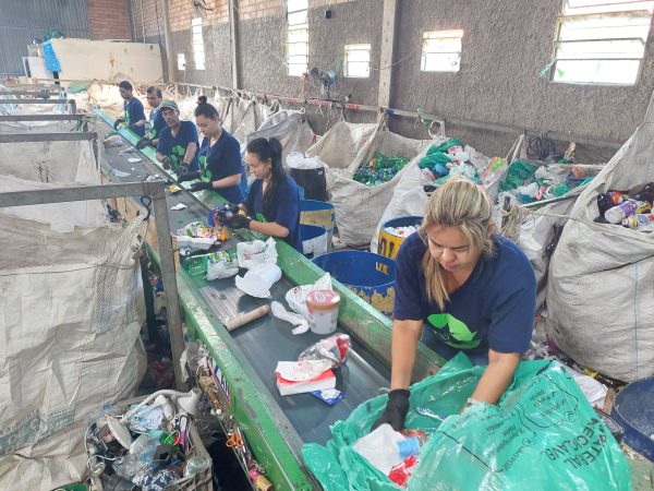 Mais de 8 mil toneladas de recicláveis foram coletadas em 2024